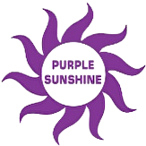 Purple SunShine / Blog